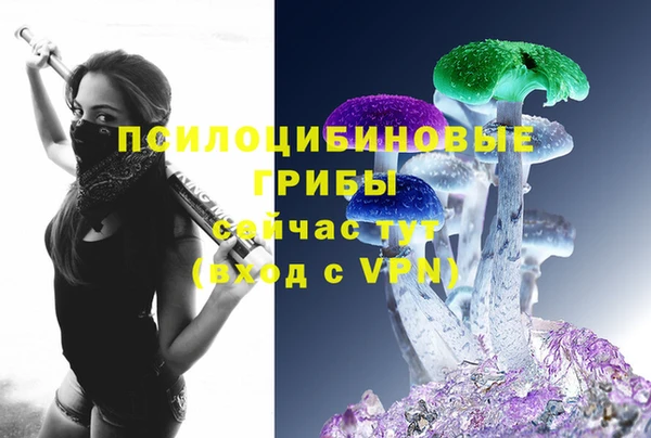 соль ск Алексеевка
