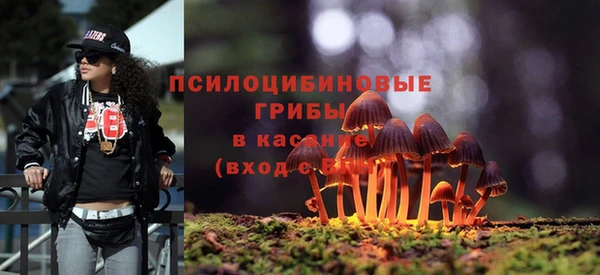 круглые Абаза